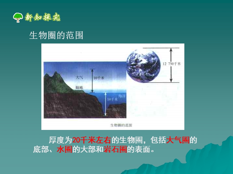 生物圈的组成.ppt_第3页