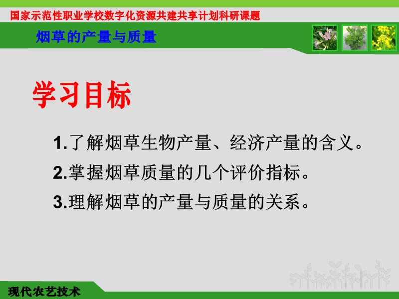 烟草的产量与质量.ppt_第2页