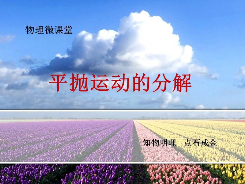 水平速度v0.ppt_第2页