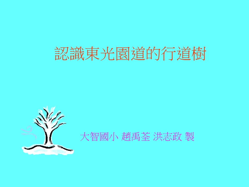 台湾栾树-台中教学资源网.ppt_第1页