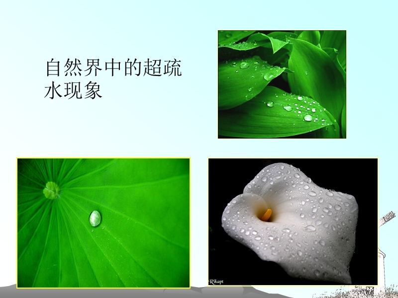 超疏水材料介绍.ppt_第1页