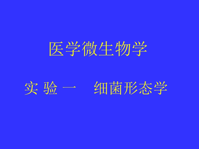 试验前要做好试验预习进试验室只带必要的文具讲义并穿.ppt_第1页