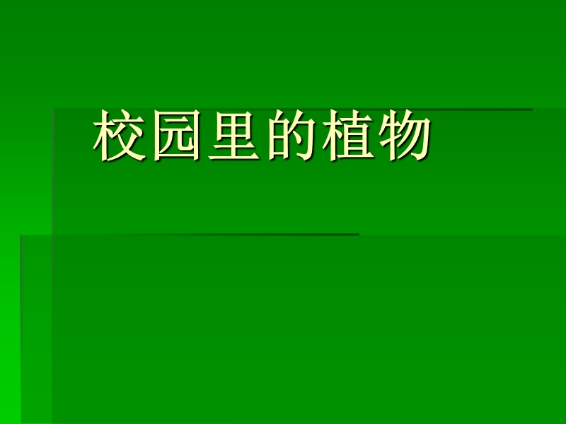 校园里的植物.ppt_第1页