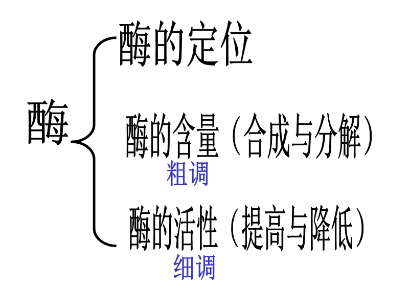 物质代谢的调控.ppt_第3页