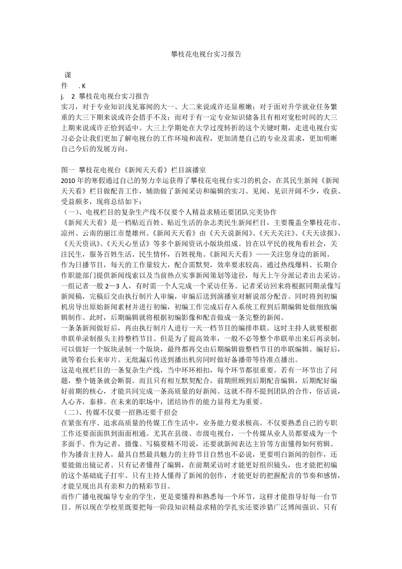 攀枝花电视台实习报告_0.doc_第1页