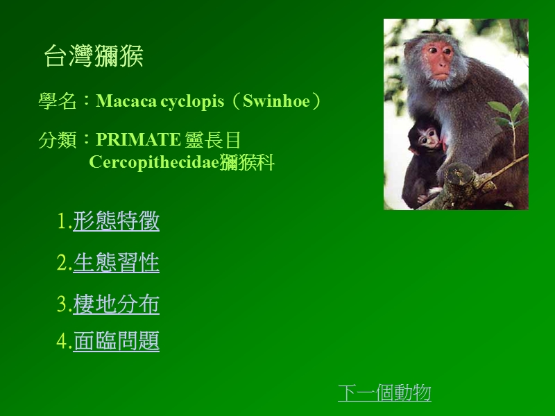 形态特徵.ppt_第2页