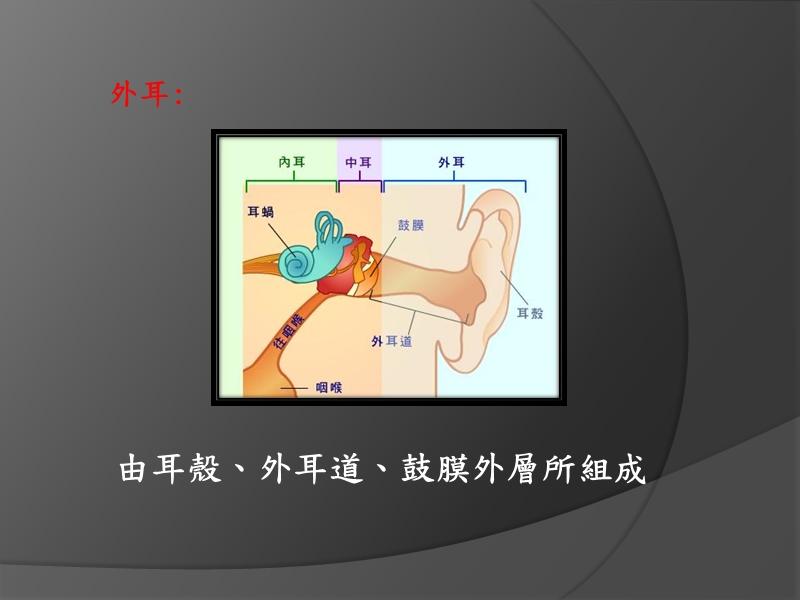 视觉辅具的应用.ppt_第3页