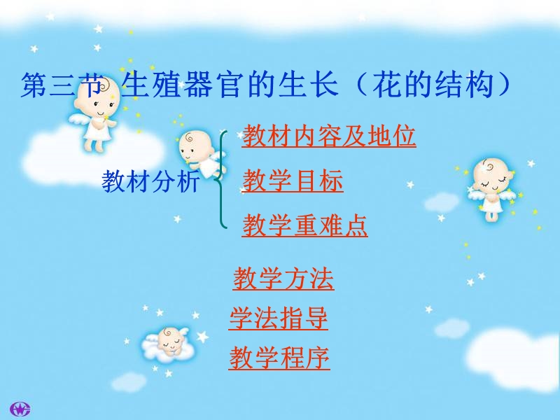 生殖器官的生长.ppt_第2页