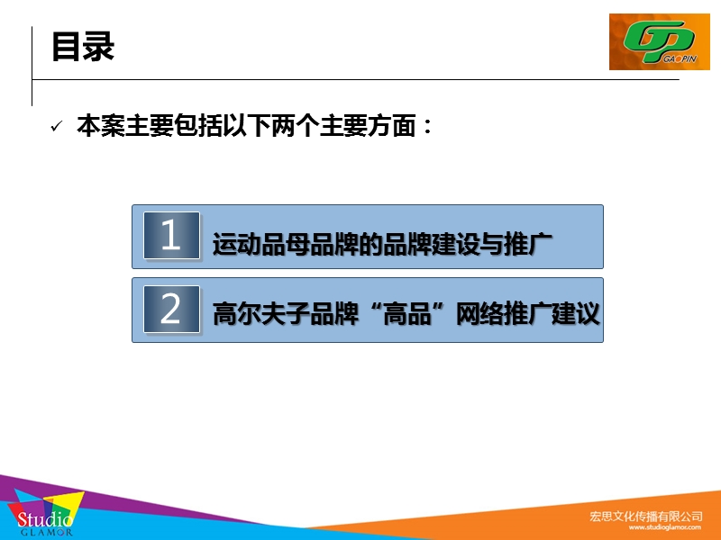 运动品牌品牌建设及高品高尔夫网络推广合作建议.ppt_第2页