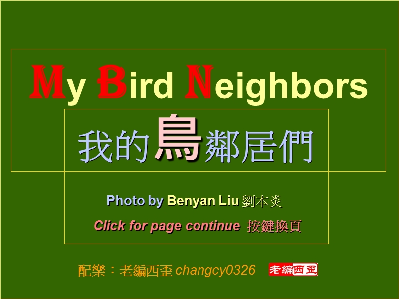 我的鸟邻居们(my bird neighbors).ppt_第1页