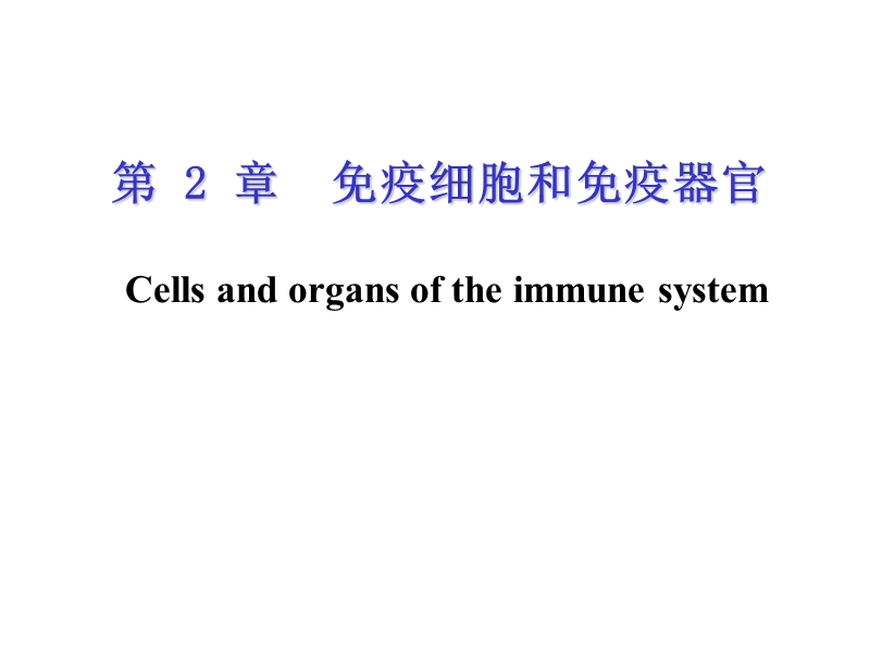 树突细胞.ppt_第1页