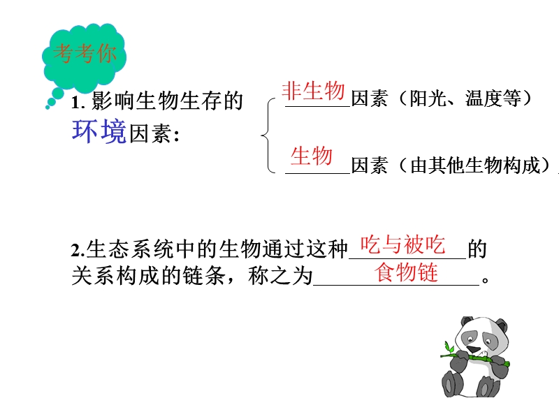 食物网.ppt_第3页