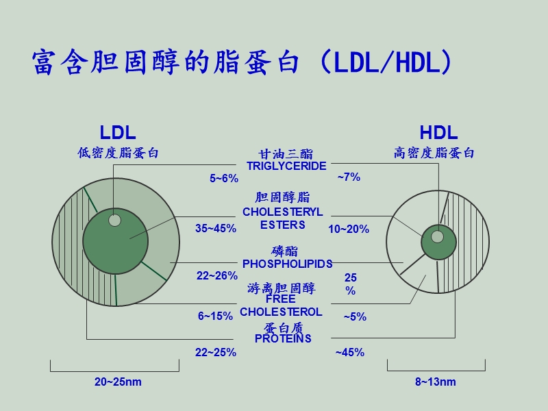 血脂研究新方向.ppt_第2页