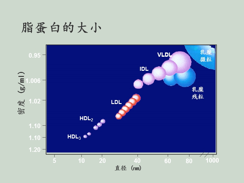 血脂研究新方向.ppt_第3页