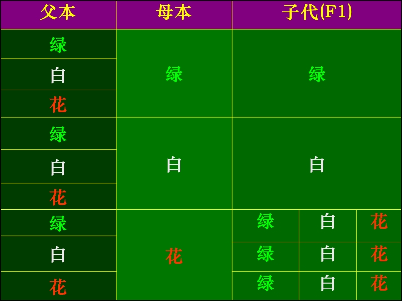 细胞质遗传、基因结构及基因工程.ppt_第3页