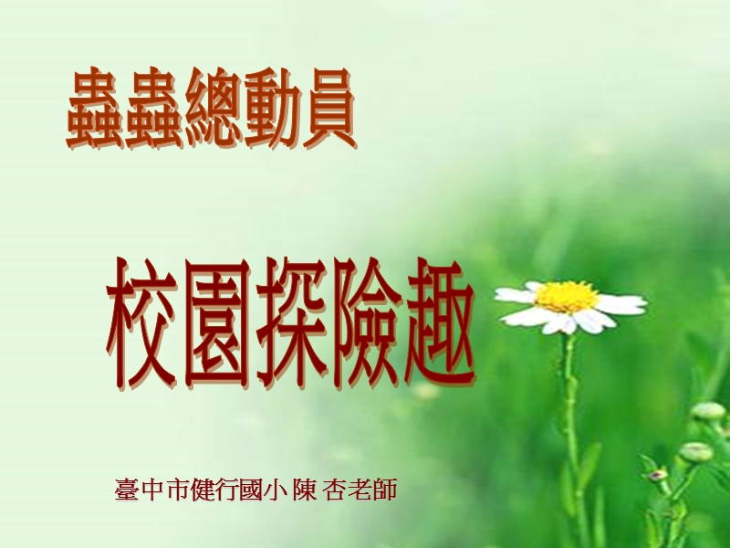 昆虫的家 - 台中市教学资源网.ppt_第1页