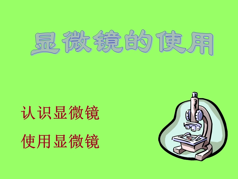 解开生物体结构的秘密.ppt_第2页