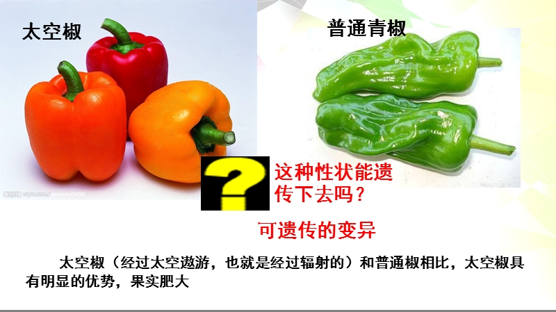 可遗传变异.ppt_第3页