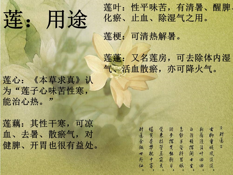 植物特性篇.ppt_第3页