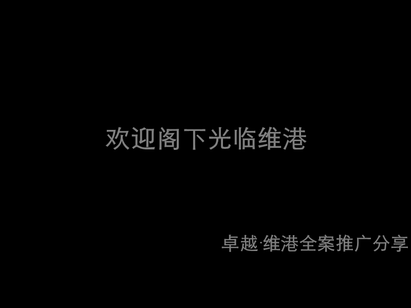 卓越维港项目推广案例.ppt_第1页