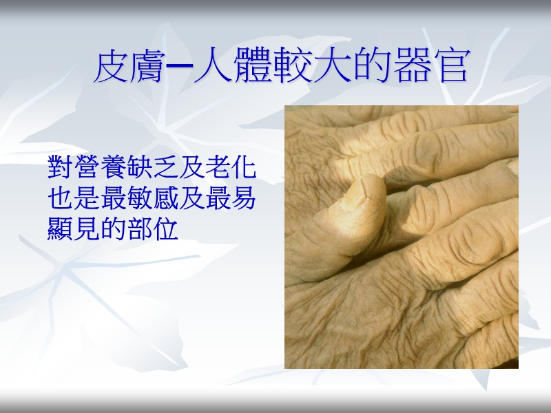 皮肤的构造.ppt_第2页