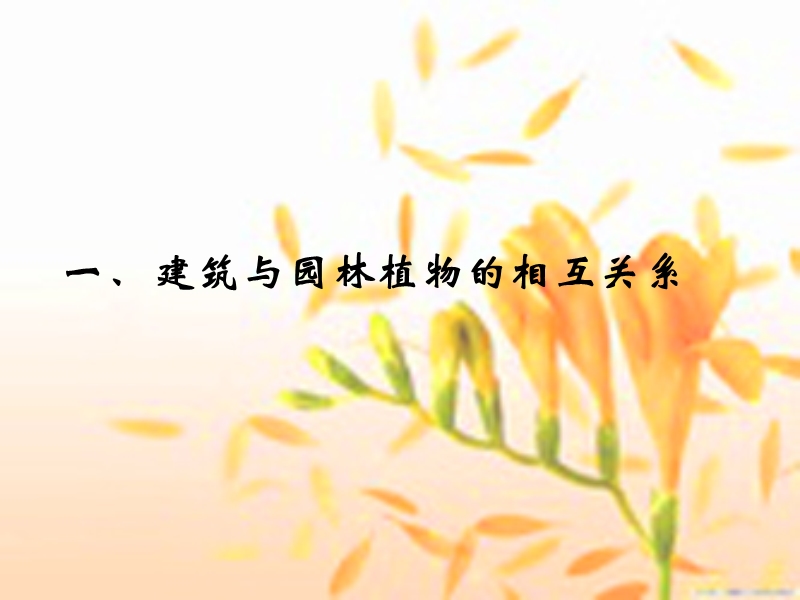 建筑与园林植物配植的协调.ppt_第3页