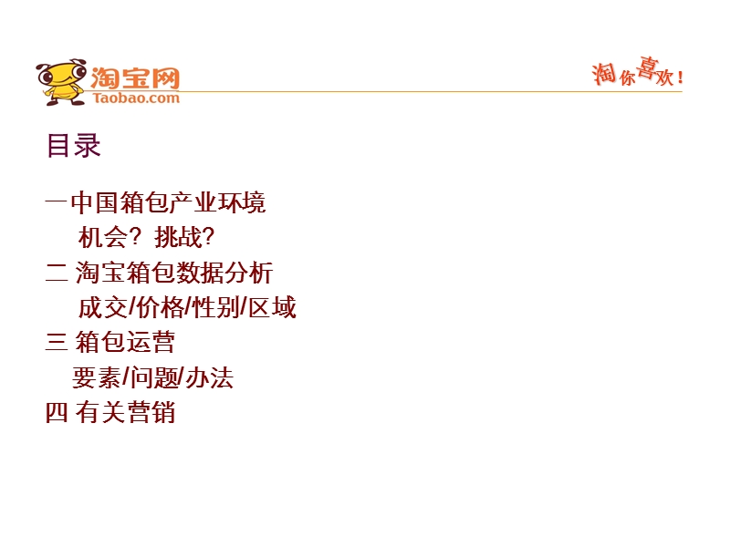 箱包运营之道.ppt_第2页