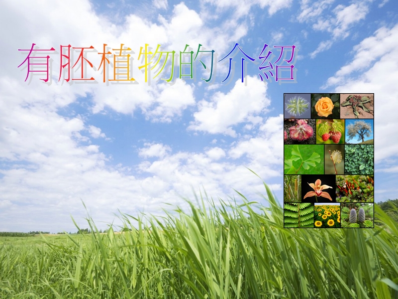 有胚植物.ppt_第1页