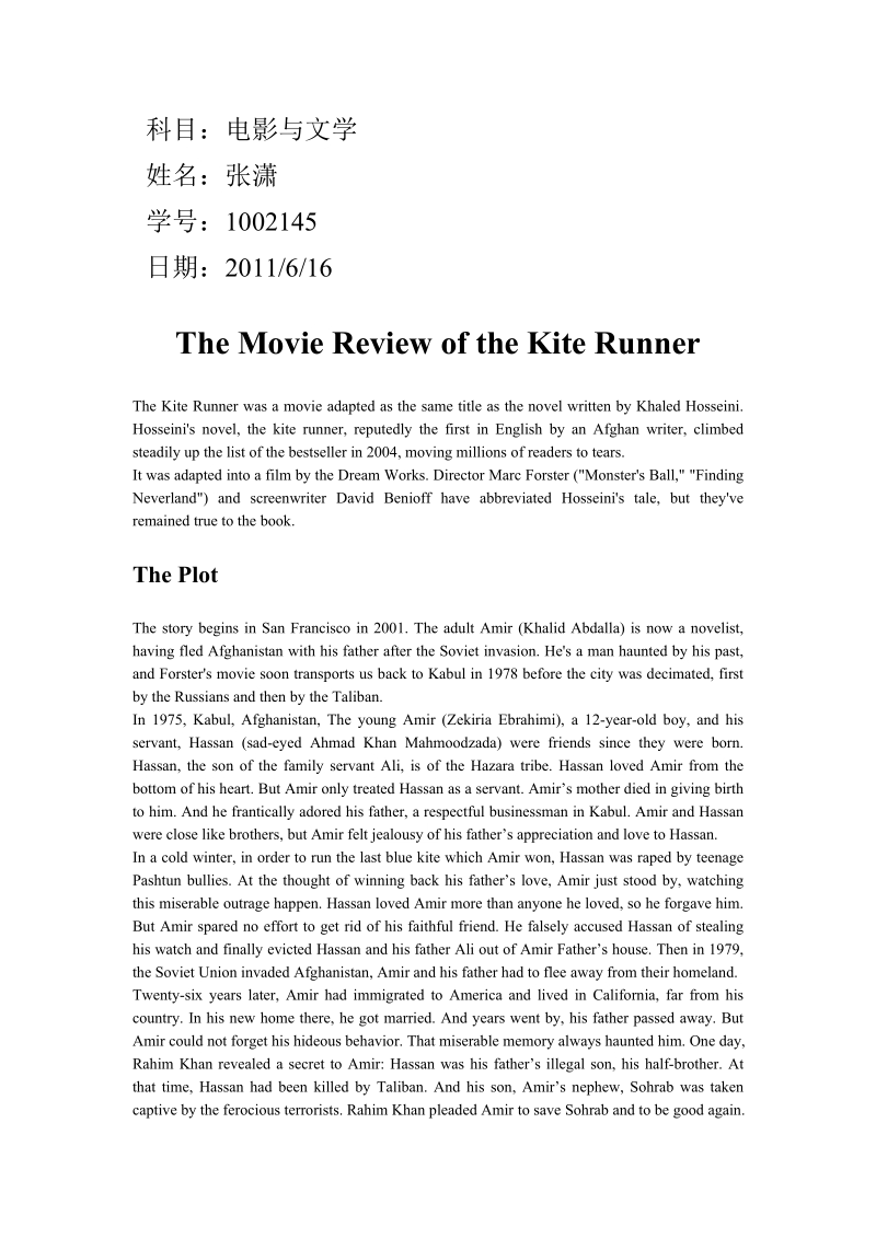 the kite runner.doc_第1页