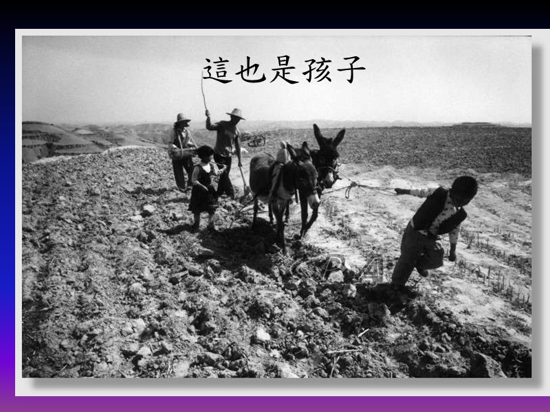 人类学系简介.ppt_第2页