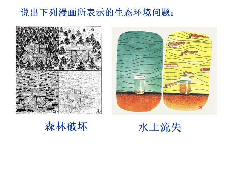 生物的多样性减少.ppt_第2页