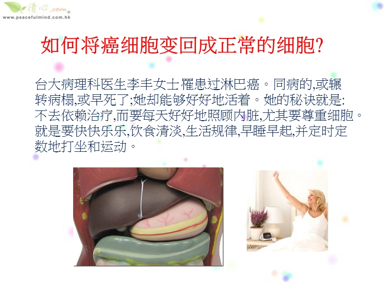 杀死癌细胞.ppt_第3页