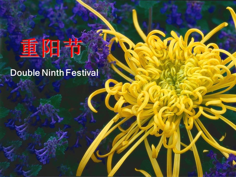 重阳节doubleninthfestival.ppt_第1页