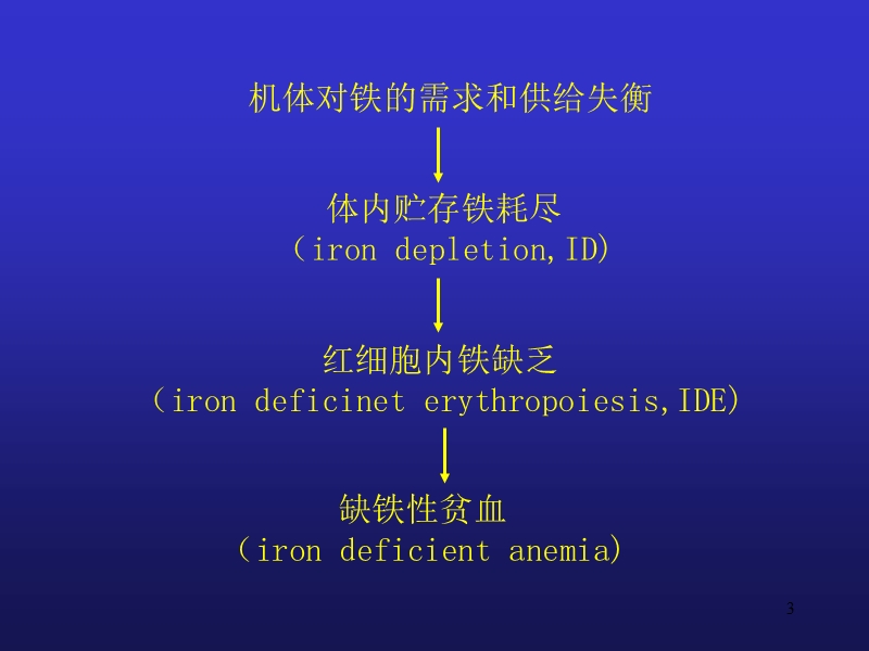 缺铁贫.ppt_第3页