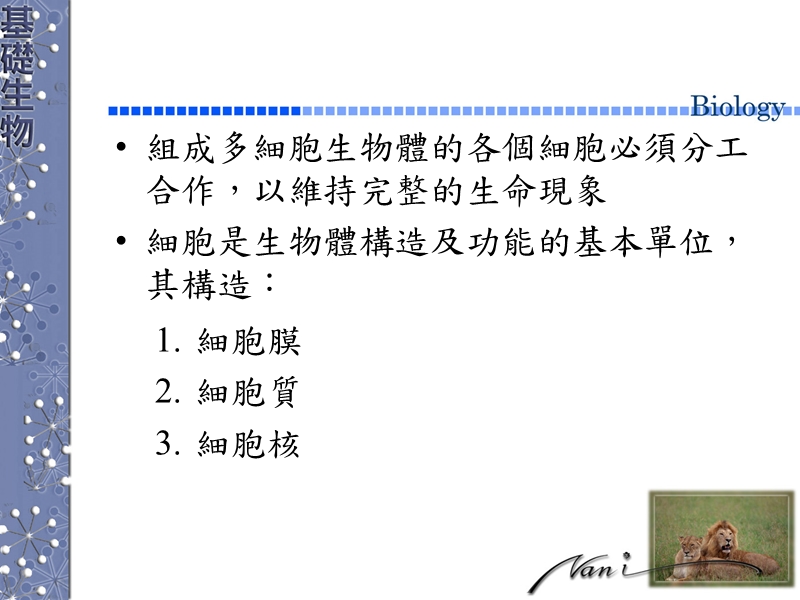 生命的特性.ppt_第3页