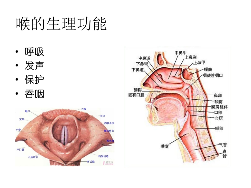 喉症状学喉梗阻气管切开术.ppt_第3页