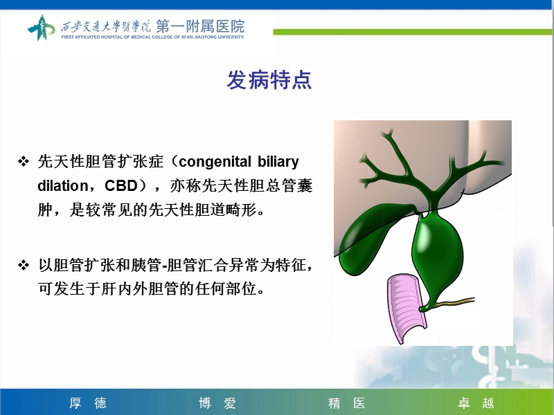 先天性胆管扩张症诊断和治疗要点.ppt_第3页