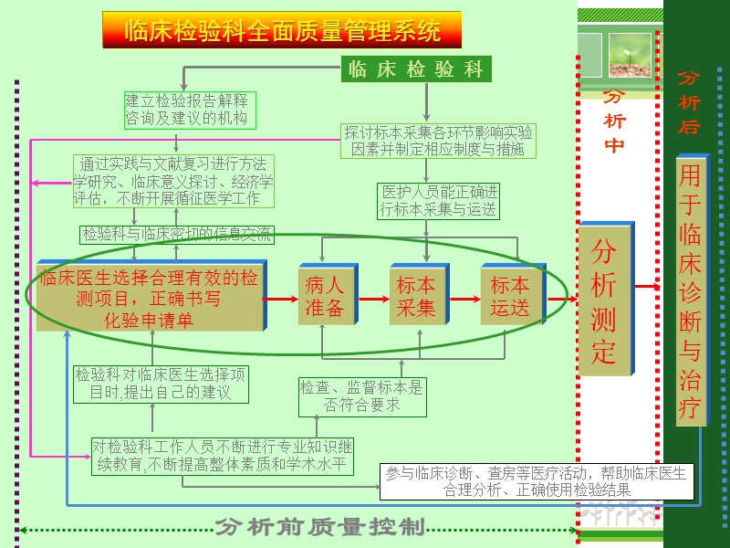 临床免疫学质量控制.ppt_第2页