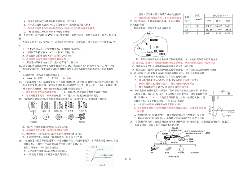 2013届全国高考优秀模拟试题大重组(五).doc_第2页