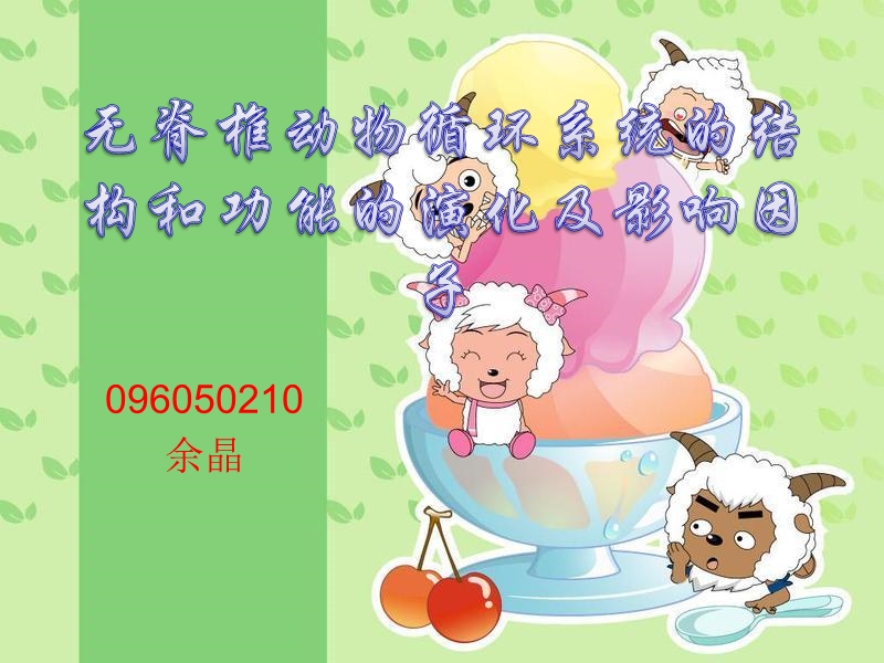 循环系统.ppt_第1页