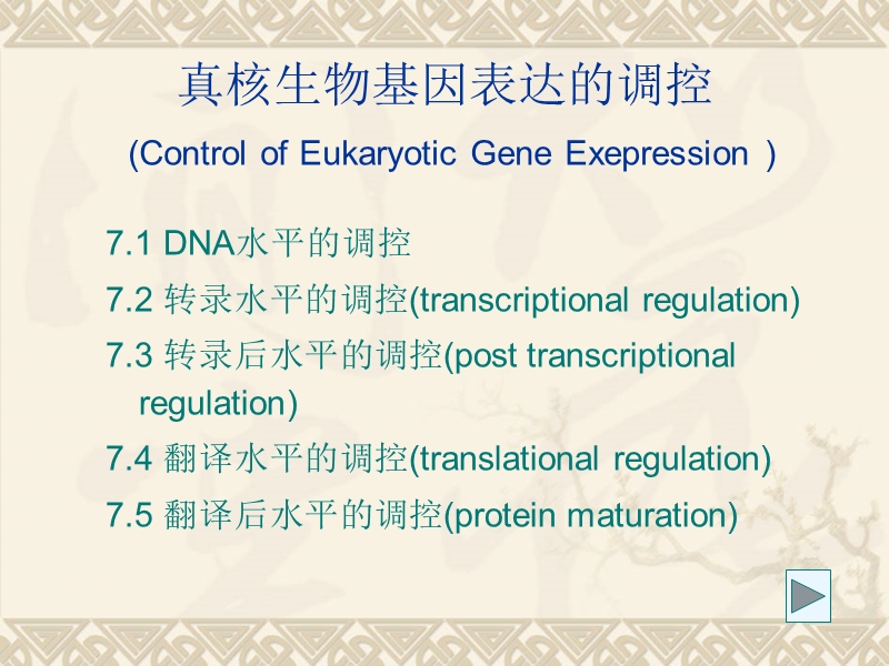 真核生物基因表达的调控.ppt_第1页