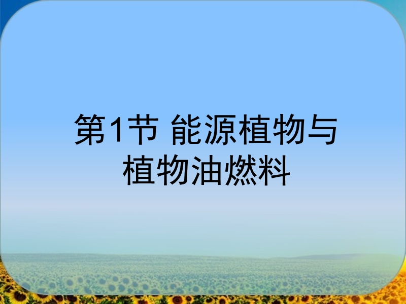 生物柴油技术.ppt_第3页