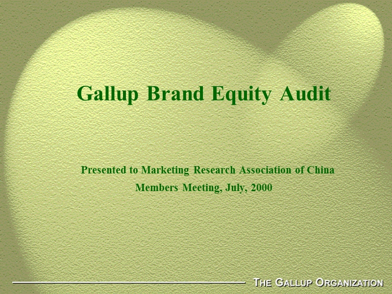 盖洛普《gallup brand equity audit》.ppt_第1页