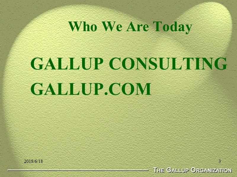 盖洛普《gallup brand equity audit》.ppt_第3页