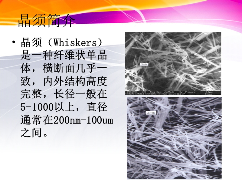 晶须的研究.ppt_第2页