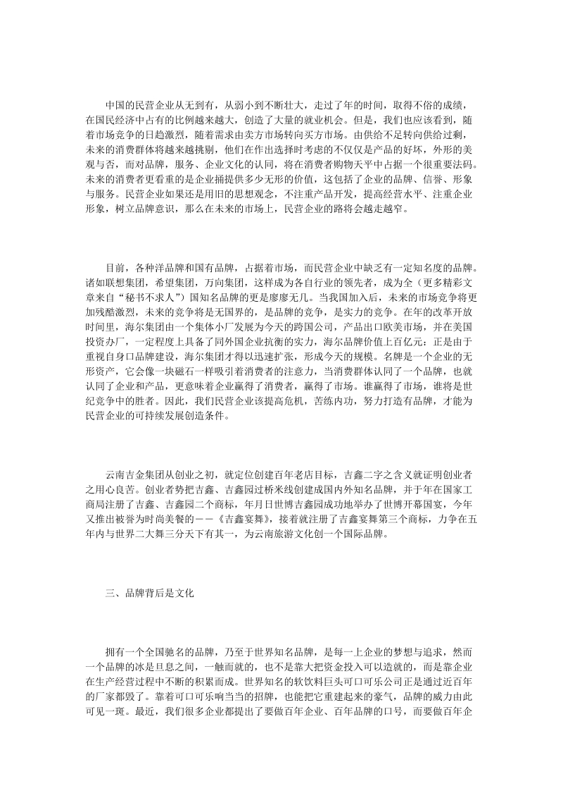 品牌与文化是民营企业在市场竞争中的锐器.doc_第2页