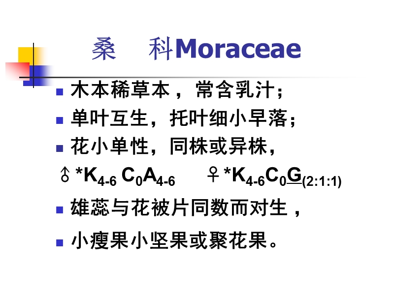 桑科moraceae.ppt_第1页