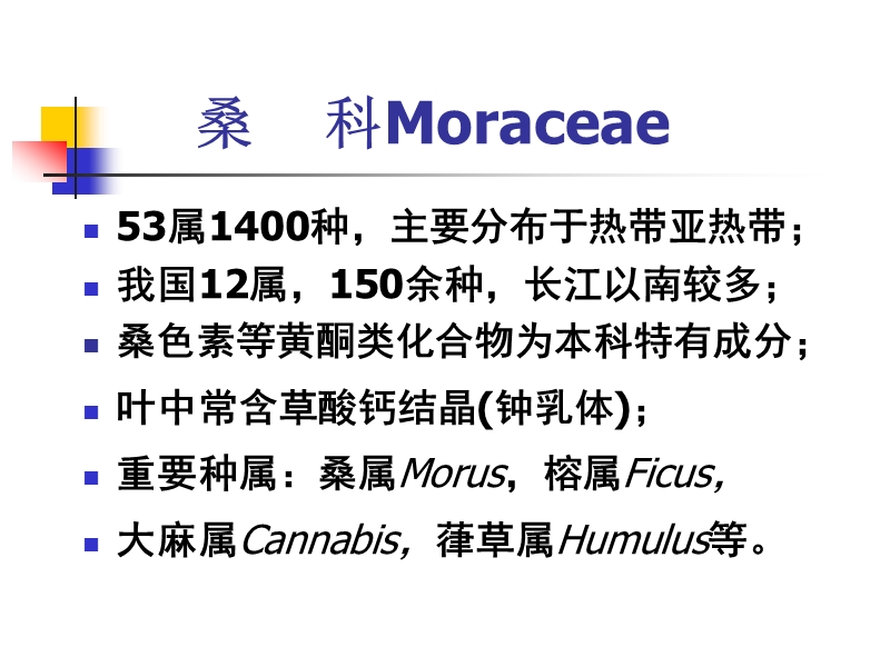 桑科moraceae.ppt_第2页