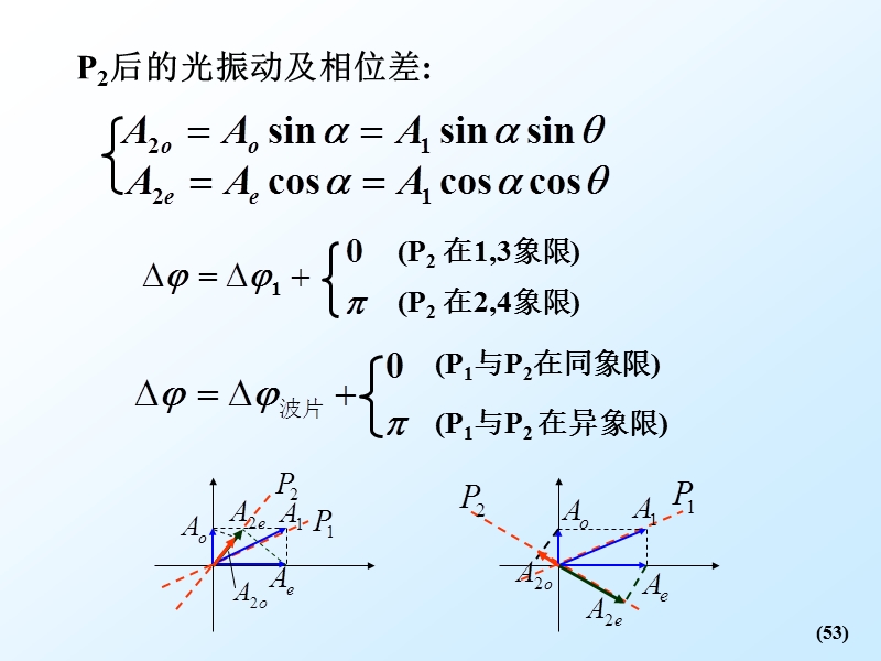 光的偏振.ppt_第2页