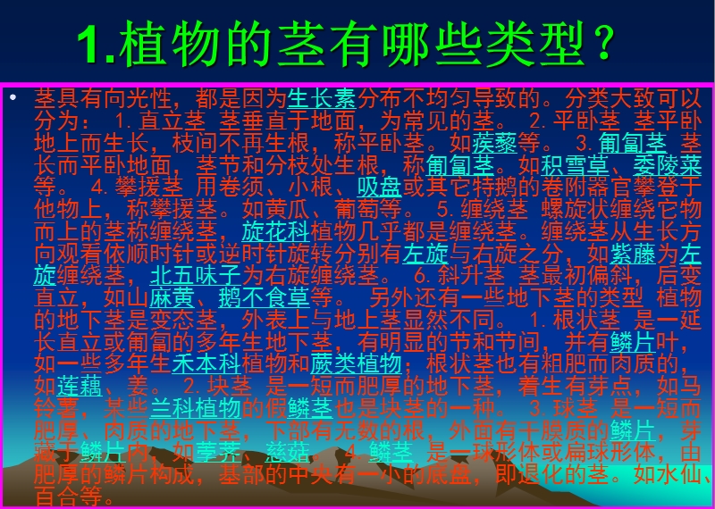 植物的茎有什么作用.ppt_第2页